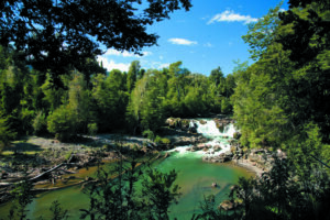 parque nacional puyehue