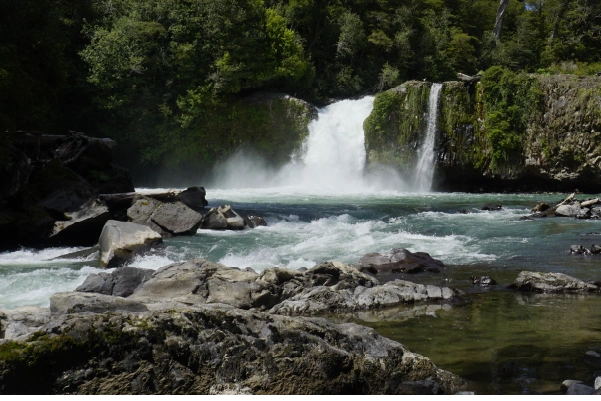 Excursión al Salto de la Princesa con cascada rodeada de bosque