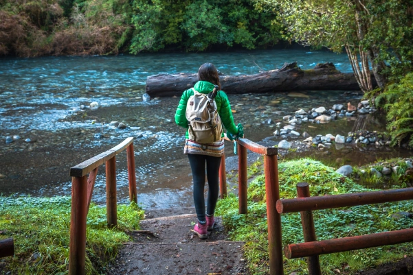 Excursionista en sendero de Aguas Calientes, Parque Nacional Puyehue, bosque siempre verde