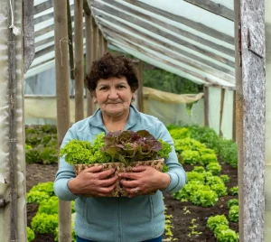 Mujer de tercera edad con vegetales frescos del invernadero en Termas Aguas Calientes