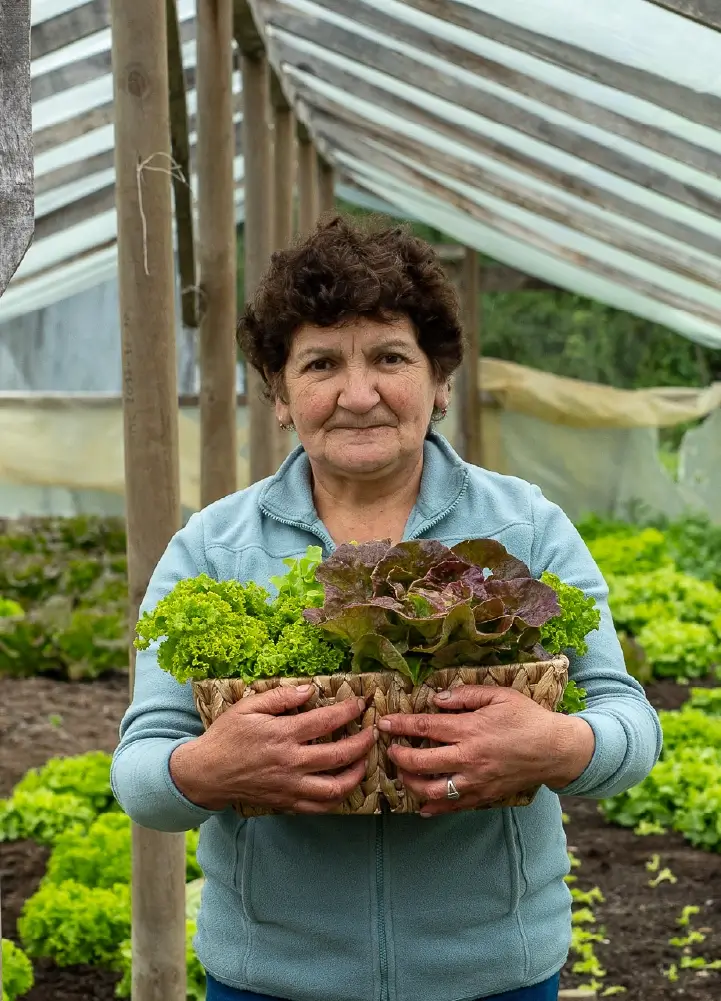 Mujer de tercera edad sosteniendo vegetales frescos del invernadero sustentable en Termas Aguas Calientes