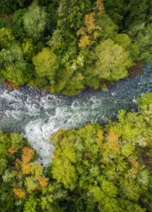 Vista aérea de río y bosque en el Parque Nacional Puyehue, rodeado de naturaleza única