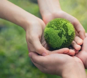 Manos pasándose un planeta de vegetación en Termas Aguas Calientes